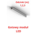 KLUŚ Gotowa Lampa LED Serpent Zwieszany 3m FP02755-A01M30069L3B